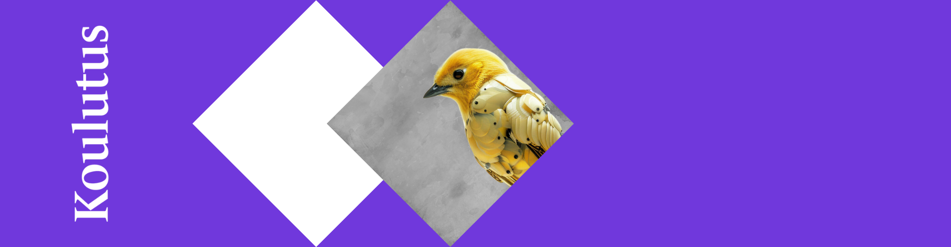 Tapahtuman oletuskuva